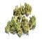 Quick and Easy Access to Buy Weed Online Canada Products